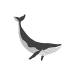COOPER-REFILLERY.png